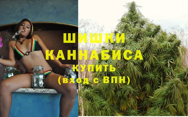 ECSTASY Лиски