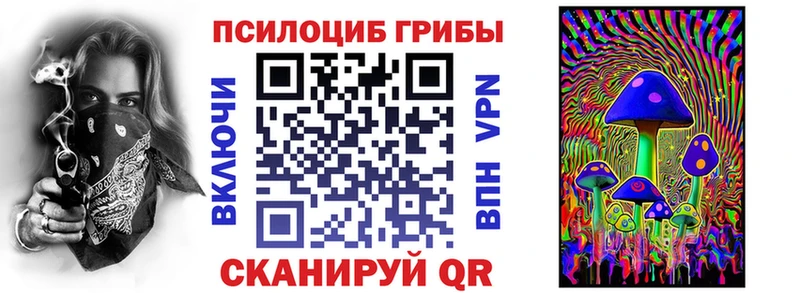 где можно купить наркотик  Цивильск  Галлюциногенные грибы MAGIC MUSHROOMS 